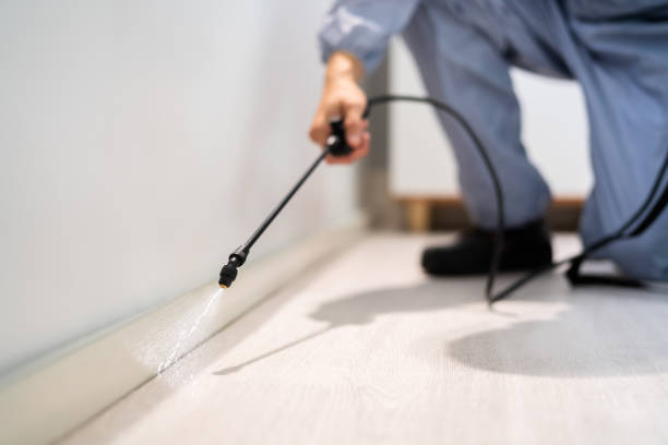 Licensed Cockroach Control service in Amory, MS - Nex Pest Control