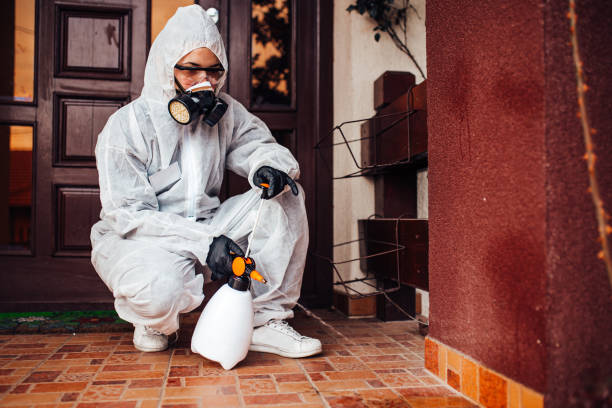 Reliable Cockroach Control contractor in Amory, MS by Nex Pest Control