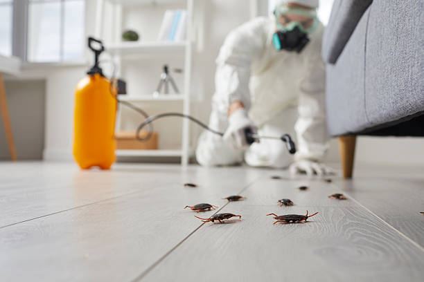 Affordable Cockroach Control solutions in Amory, MS
